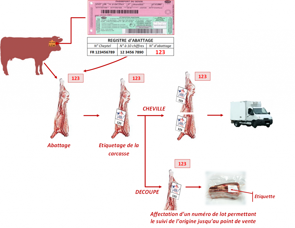 Cotation Viande Bovine Entree Abattoir